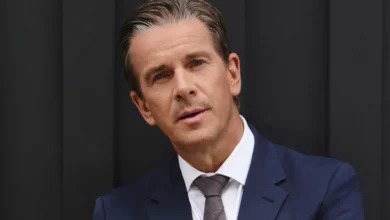 laurin lanz wikipedia